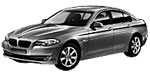 BMW F10 C2100 Fault Code